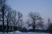 Rising moon