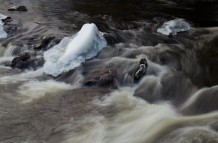 Flowing ice