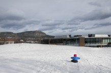 Alone in the snow