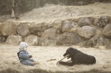 Hey doggy, give me a piece of that stick!
