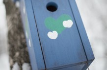 Bird house