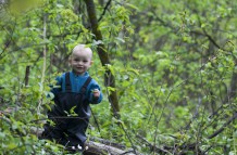 A walk in the woods