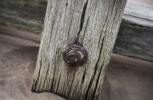 Weathered