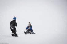 Cousins sledging