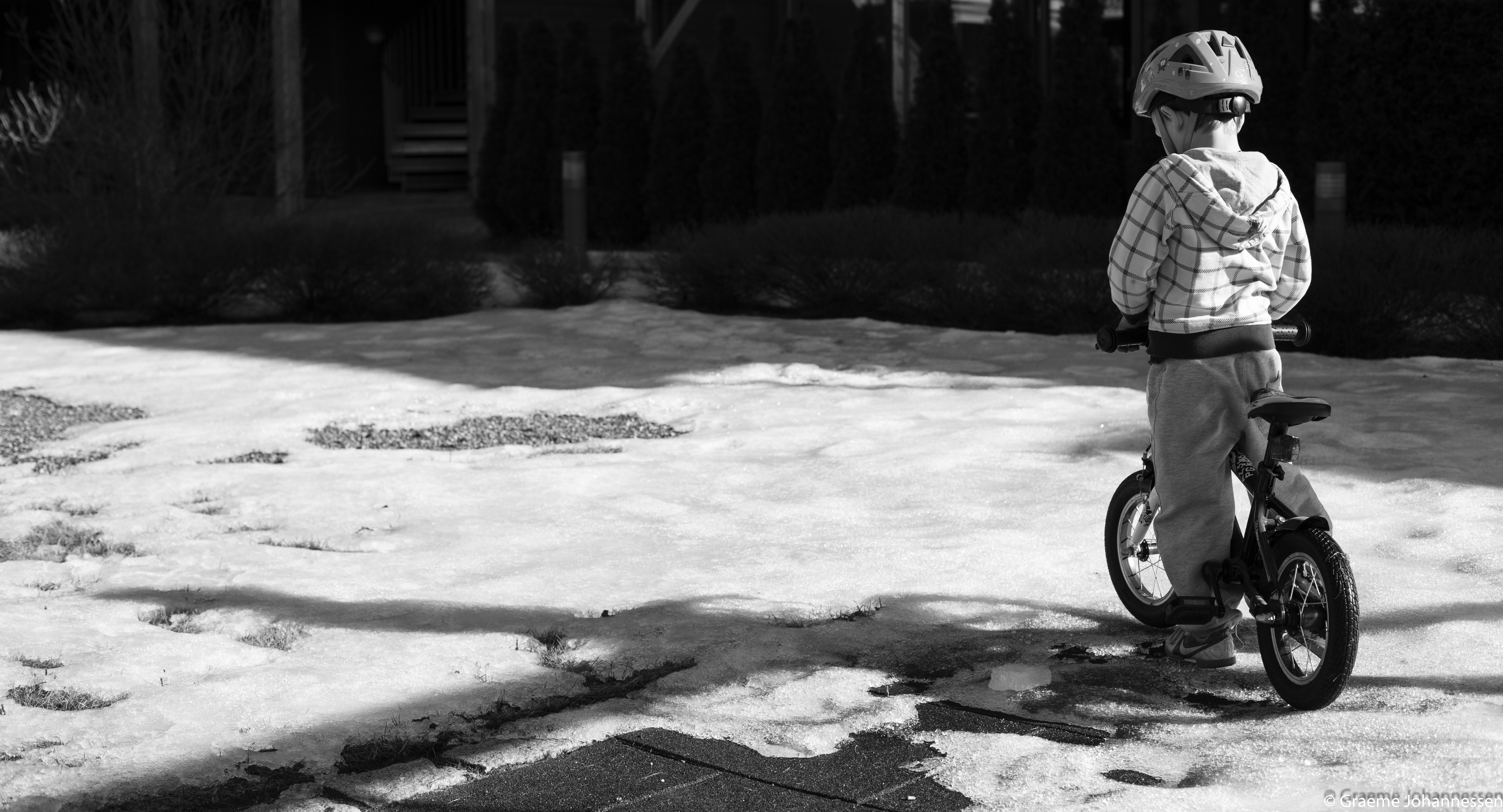Waiting for spring